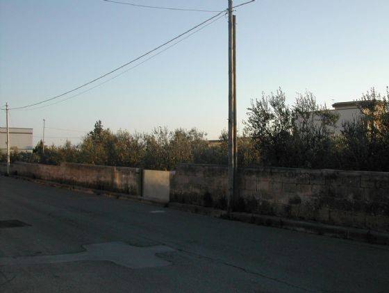 immagine annuncio 3 di 4