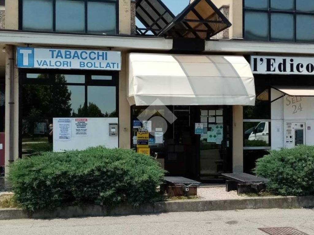 immagine annuncio 1 di 4