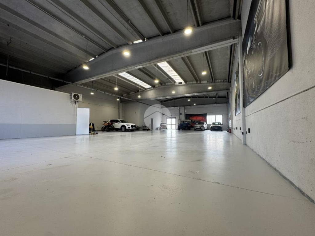 immagine annuncio 2 di 5