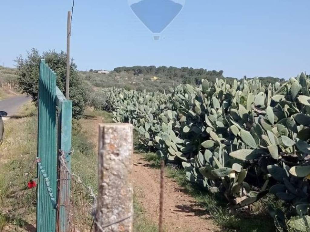 immagine annuncio 2 di 3