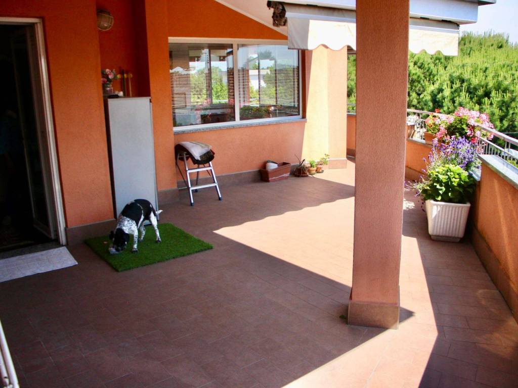 immagine annuncio 4 di 5