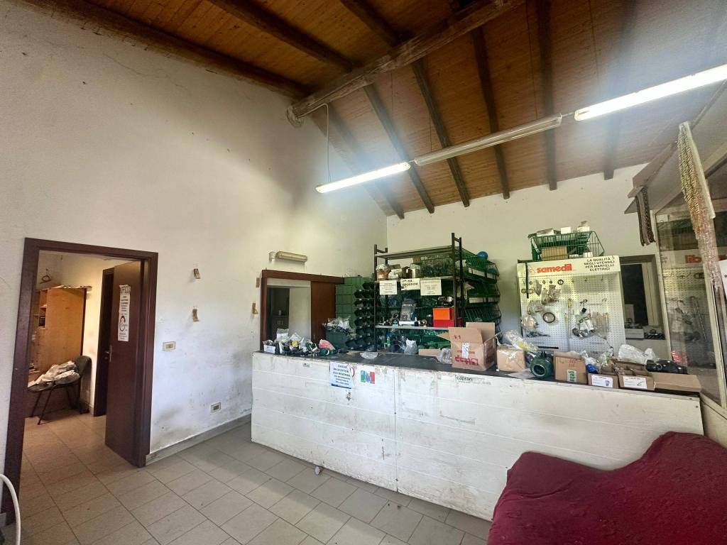 immagine annuncio 1 di 5