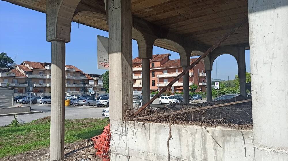 immagine annuncio 2 di 4
