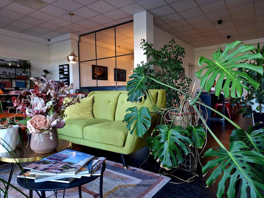 immagine annuncio 2 di 5