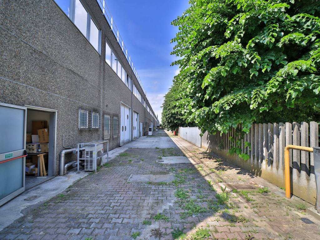 immagine annuncio 2 di 5