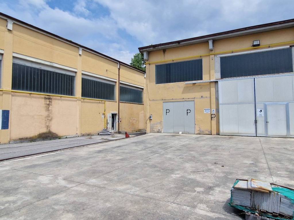 immagine annuncio 3 di 5