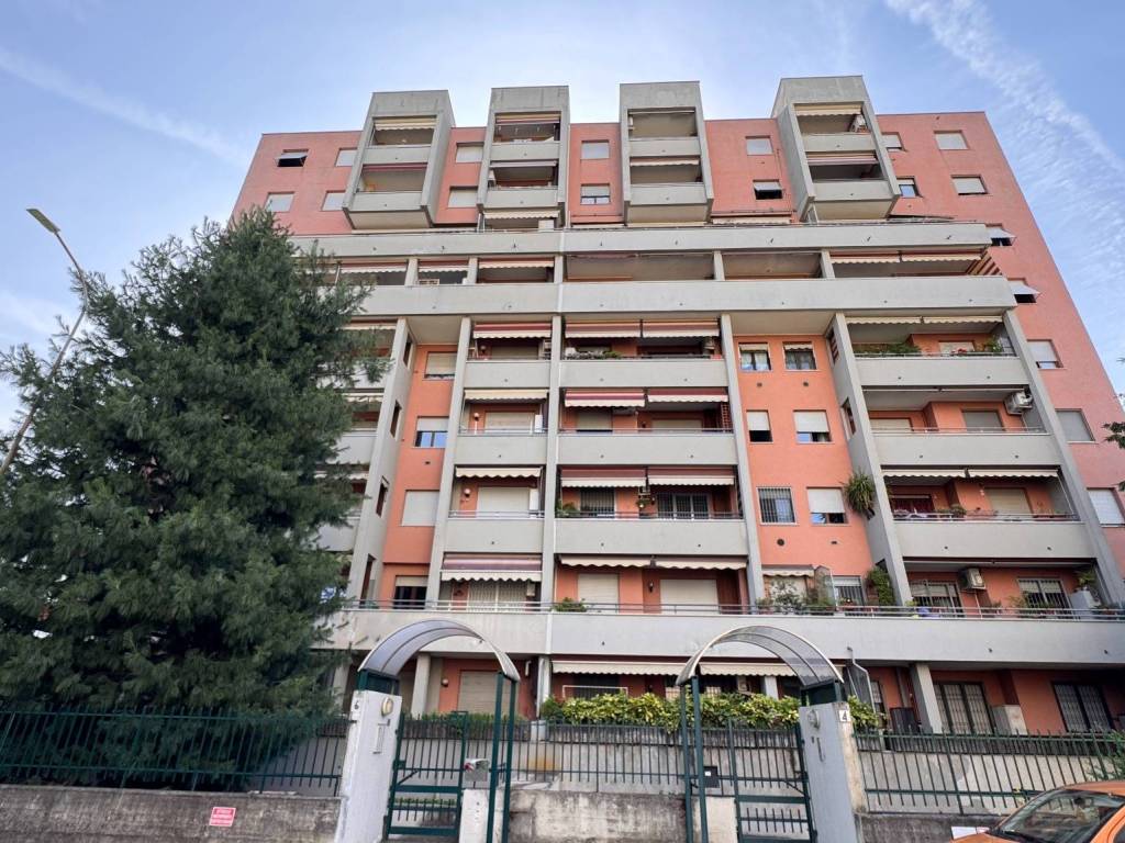 immagine annuncio 2 di 5