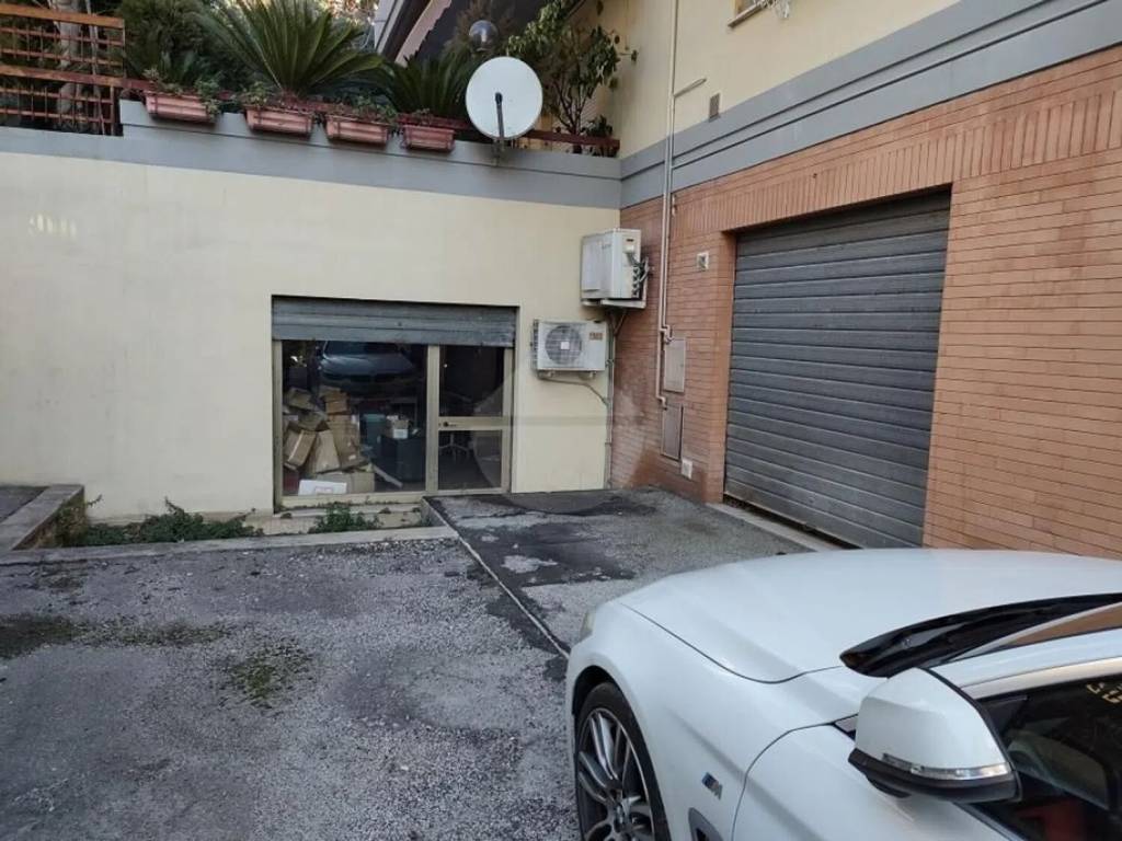 immagine annuncio 1 di 2