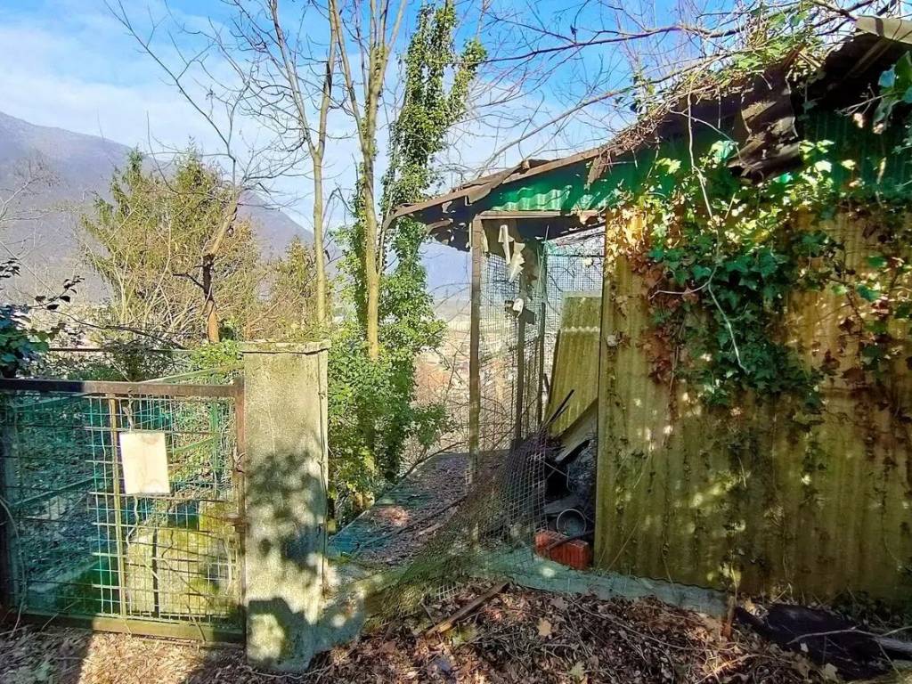 immagine annuncio 3 di 5