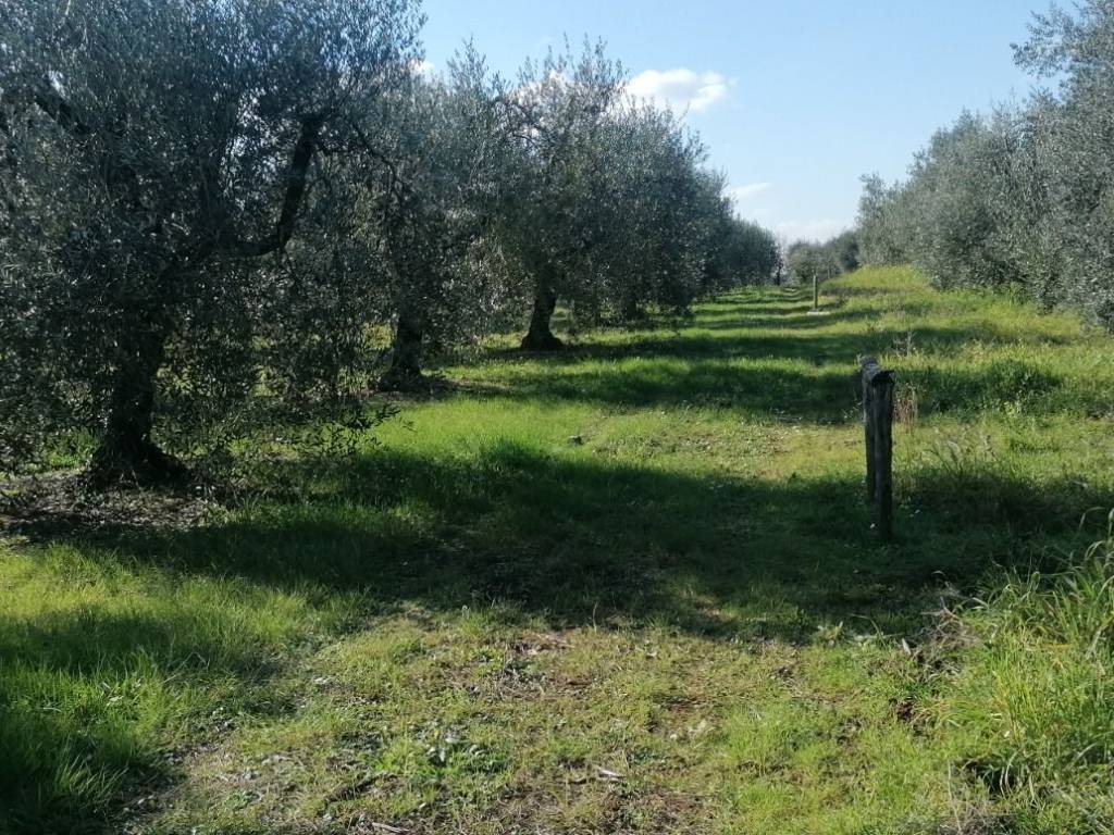 immagine annuncio 1 di 3