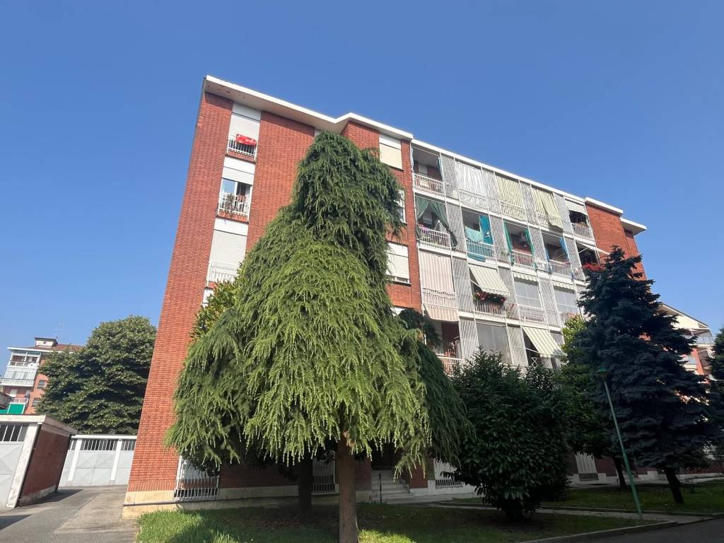 immagine annuncio 1 di 5