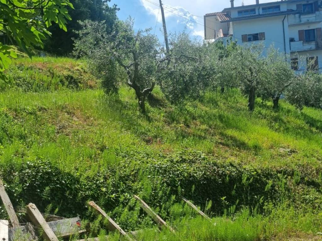 immagine annuncio 1 di 3