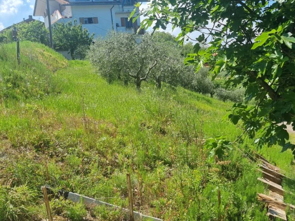 immagine annuncio 2 di 3