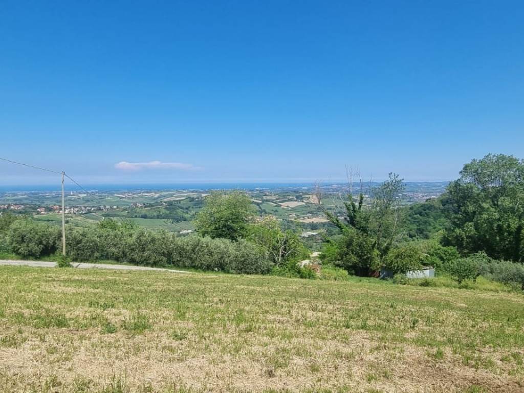 immagine annuncio 2 di 3