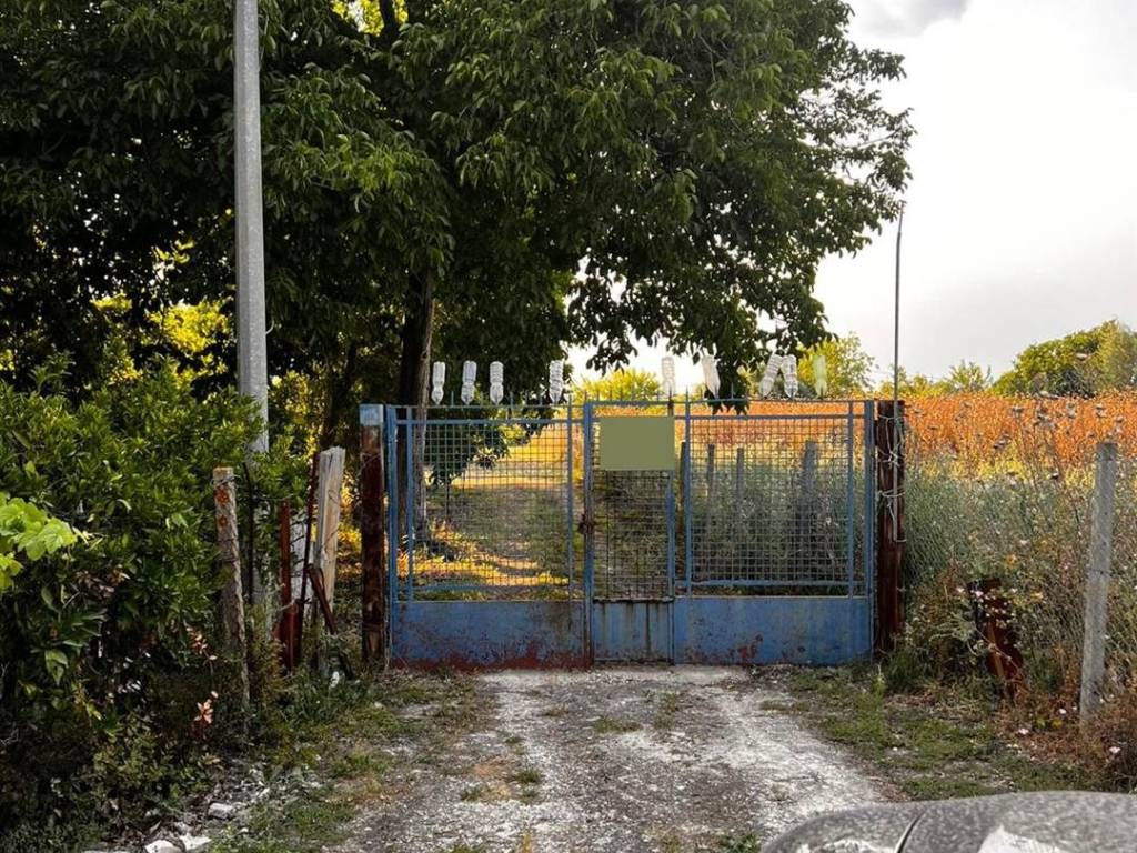 immagine annuncio 2 di 3