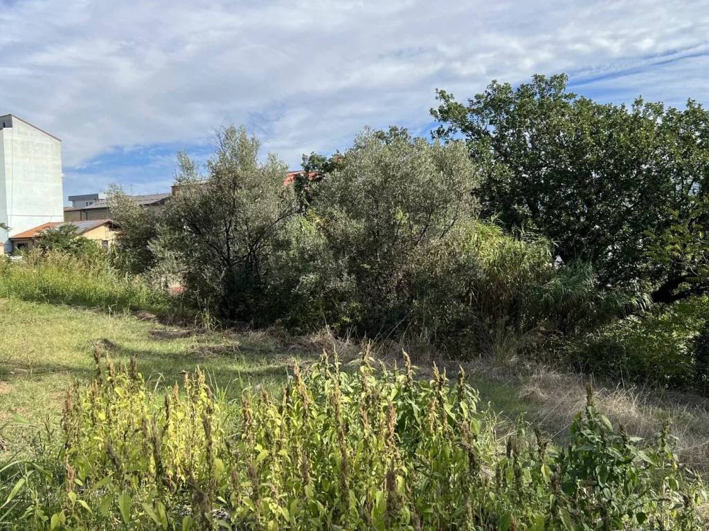 immagine annuncio 2 di 4