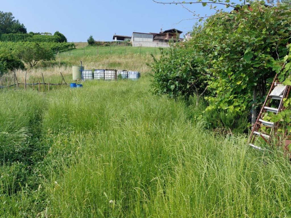 immagine annuncio 1 di 2