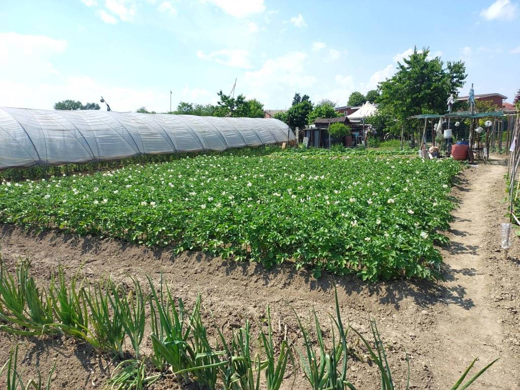 immagine annuncio 4 di 5