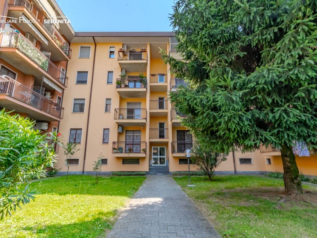 immagine annuncio 1 di 5