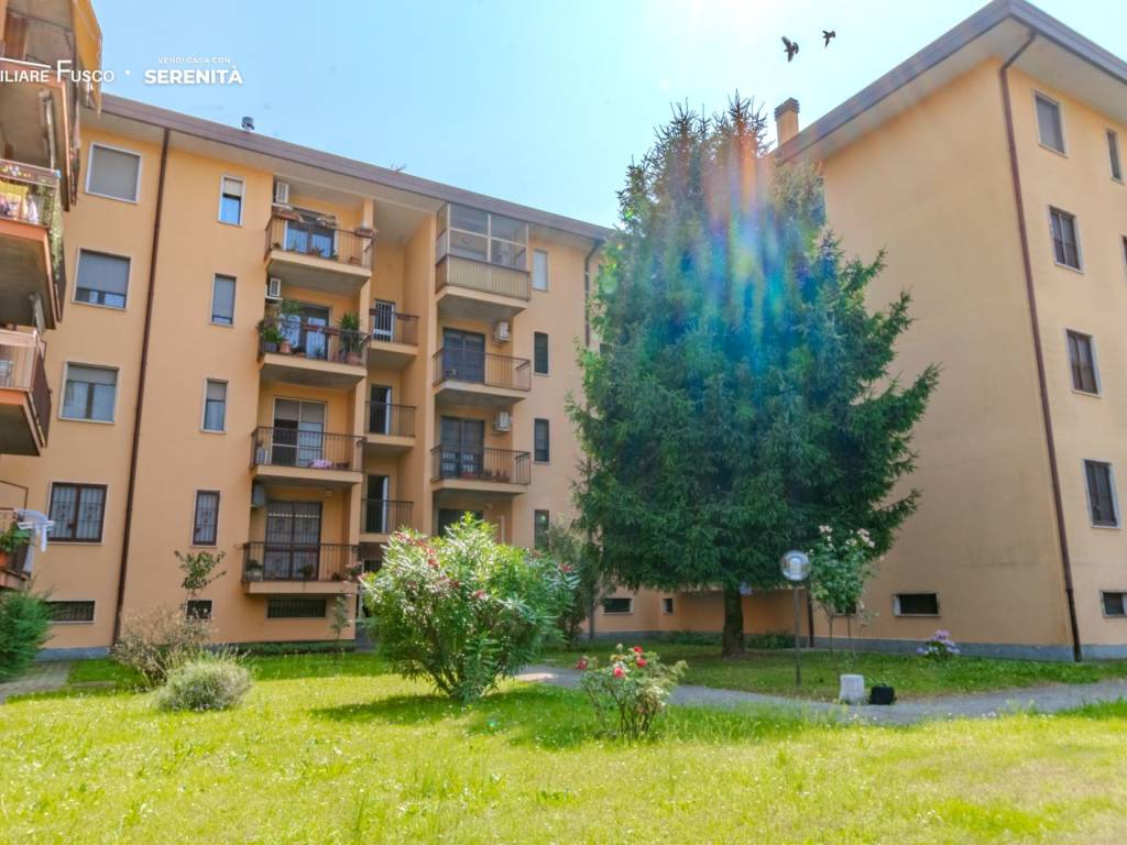 immagine annuncio 3 di 5