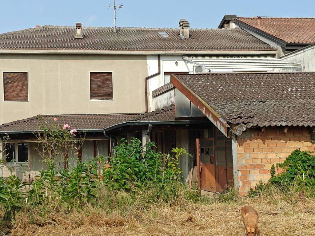 immagine annuncio 4 di 5