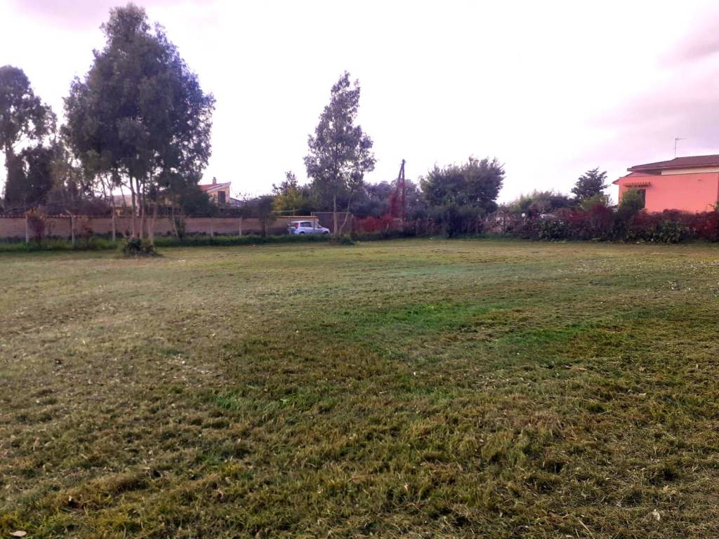 immagine annuncio 2 di 3