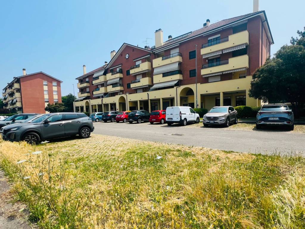 immagine annuncio 2 di 5