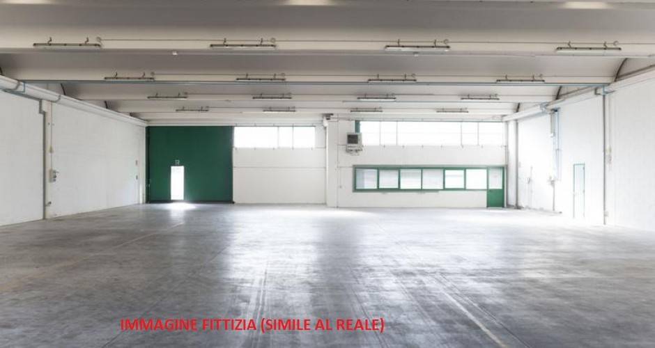 immagine annuncio 2 di 4