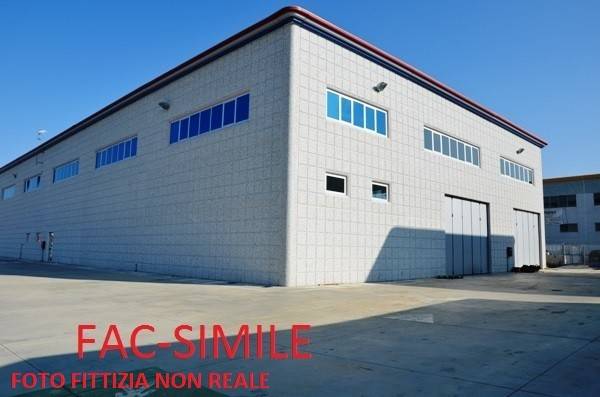 immagine annuncio 1 di 4