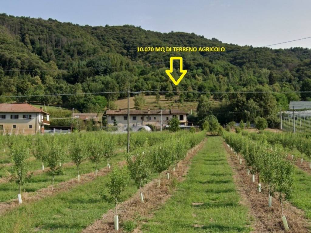 immagine annuncio 1 di 3