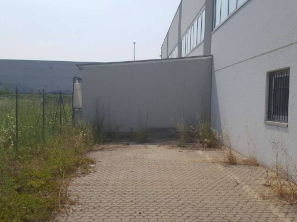 immagine annuncio 4 di 5