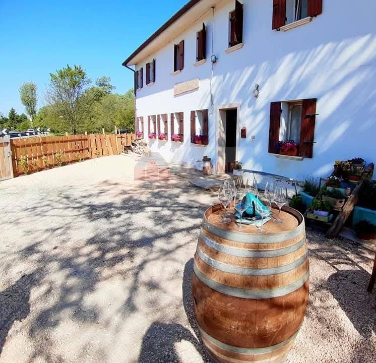 immagine annuncio 2 di 4