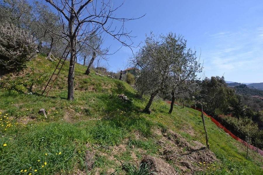 immagine annuncio 1 di 2