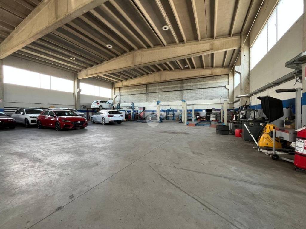 immagine annuncio 1 di 5