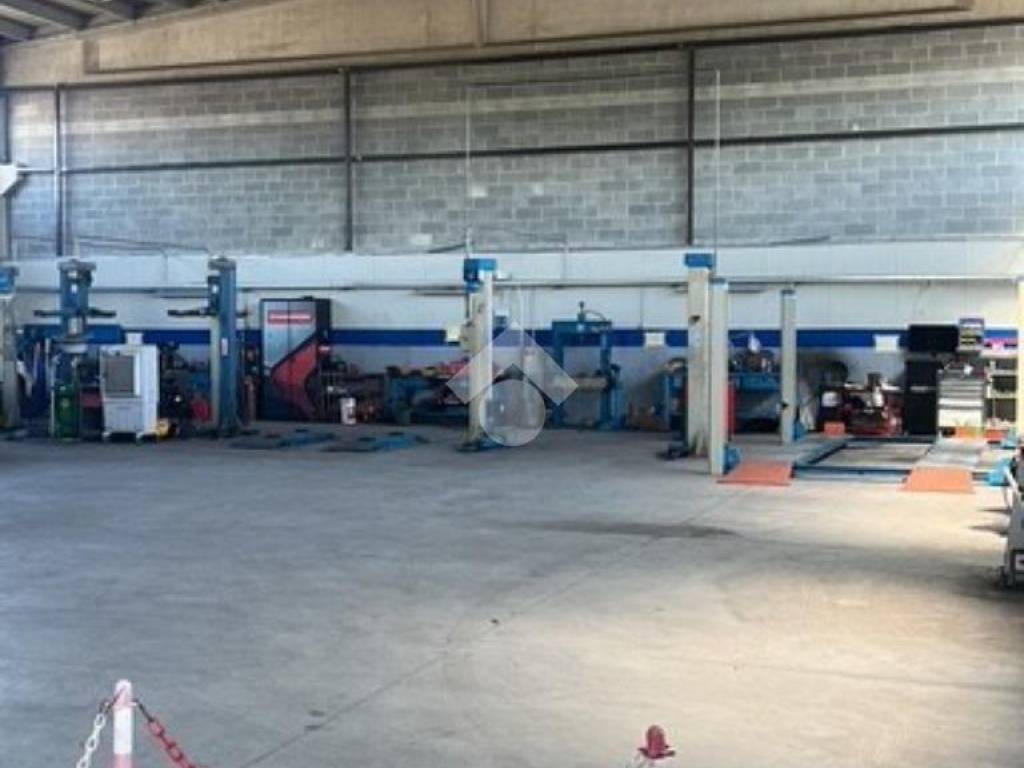 immagine annuncio 3 di 5