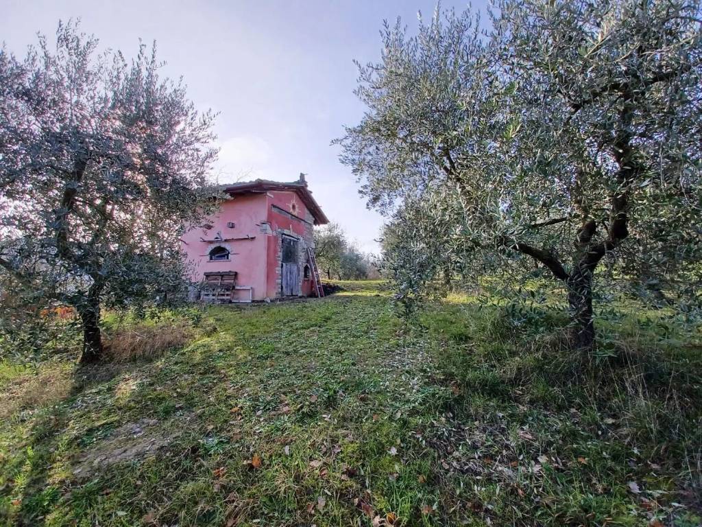immagine annuncio 2 di 5