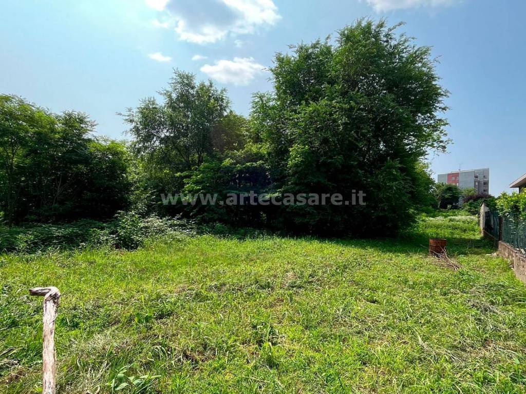 immagine annuncio 1 di 3
