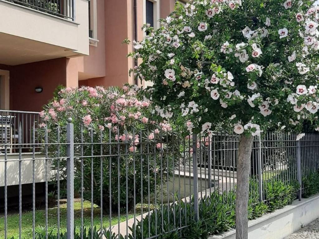 immagine annuncio 1 di 2