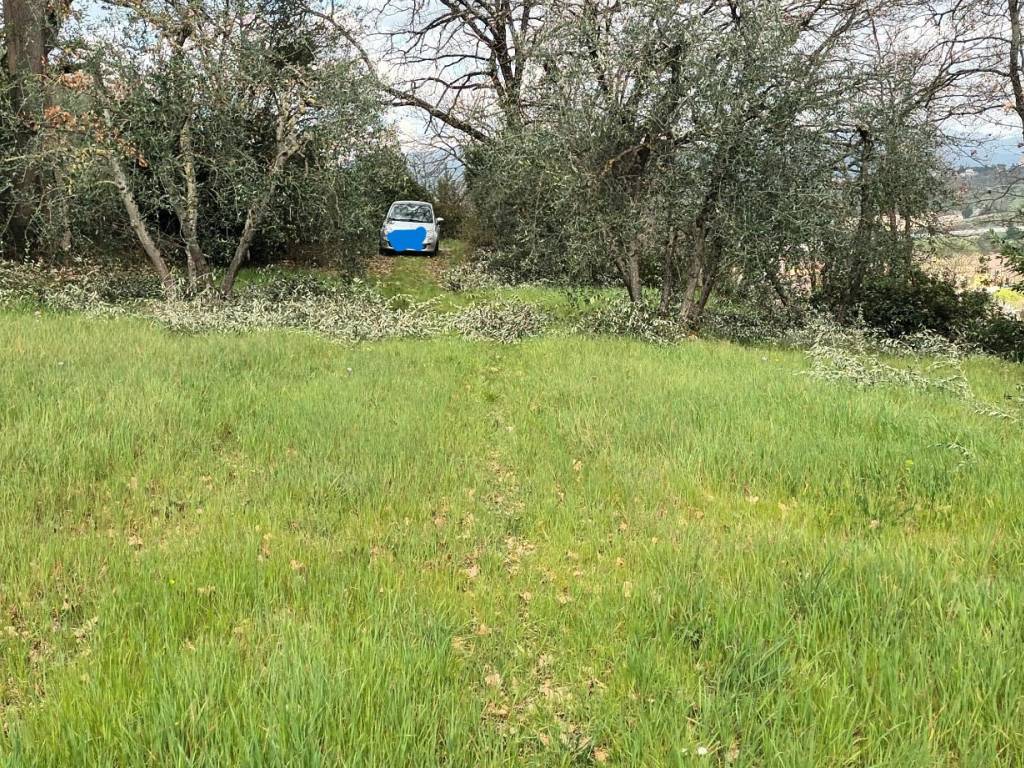 immagine annuncio 2 di 4