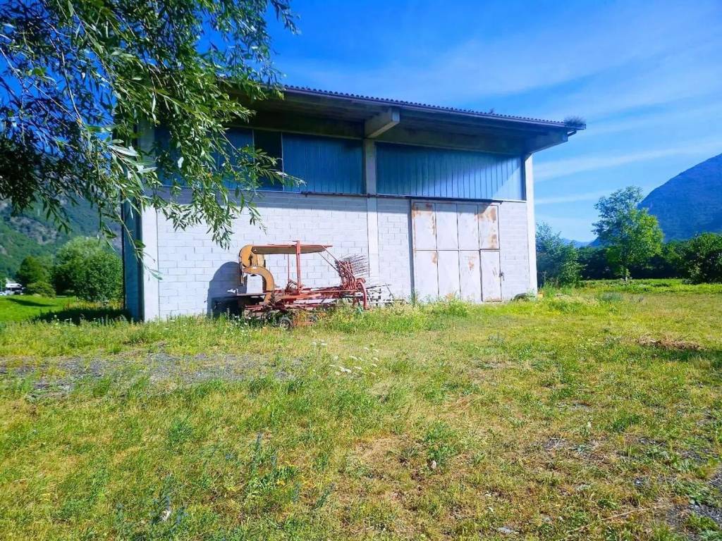 immagine annuncio 4 di 5