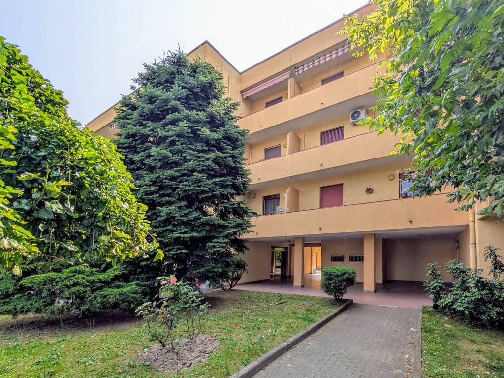 immagine annuncio 4 di 5