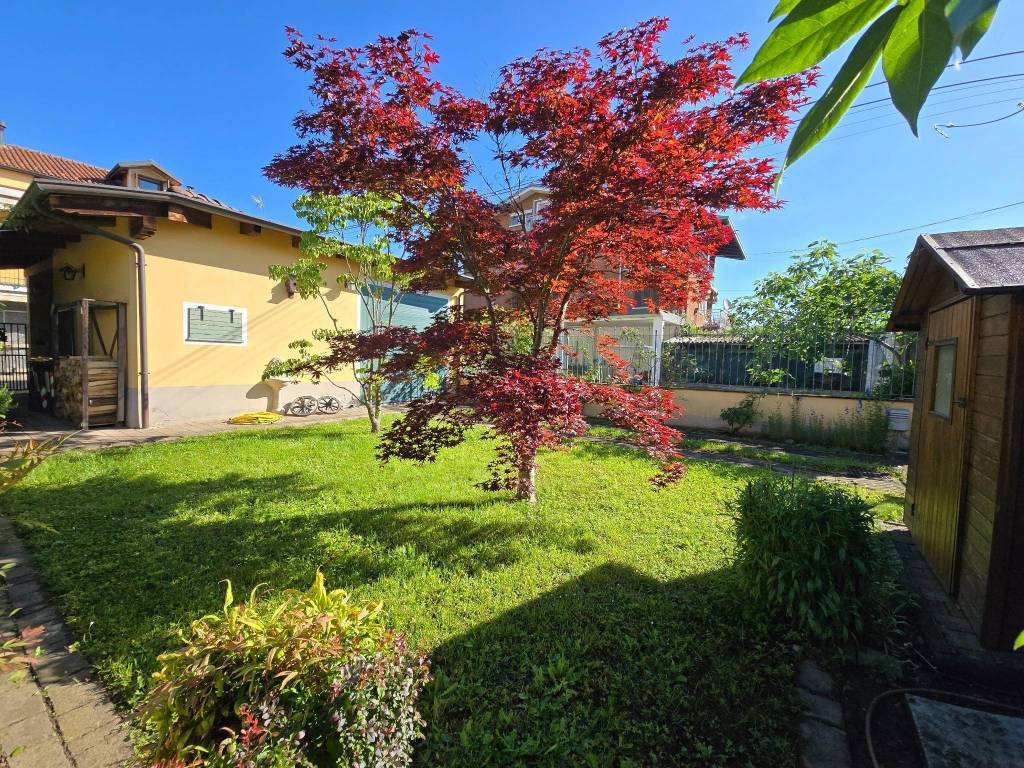 immagine annuncio 2 di 5