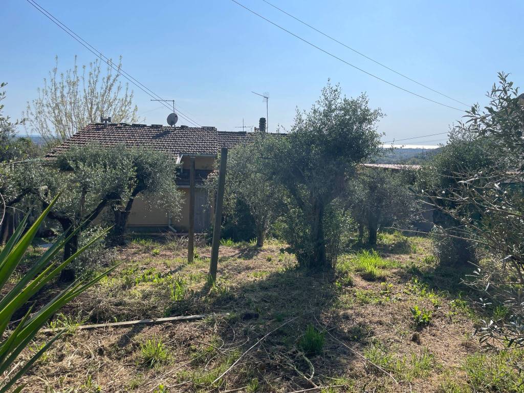 immagine annuncio 2 di 4