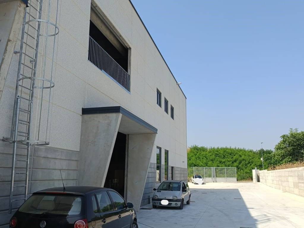 immagine annuncio 2 di 5