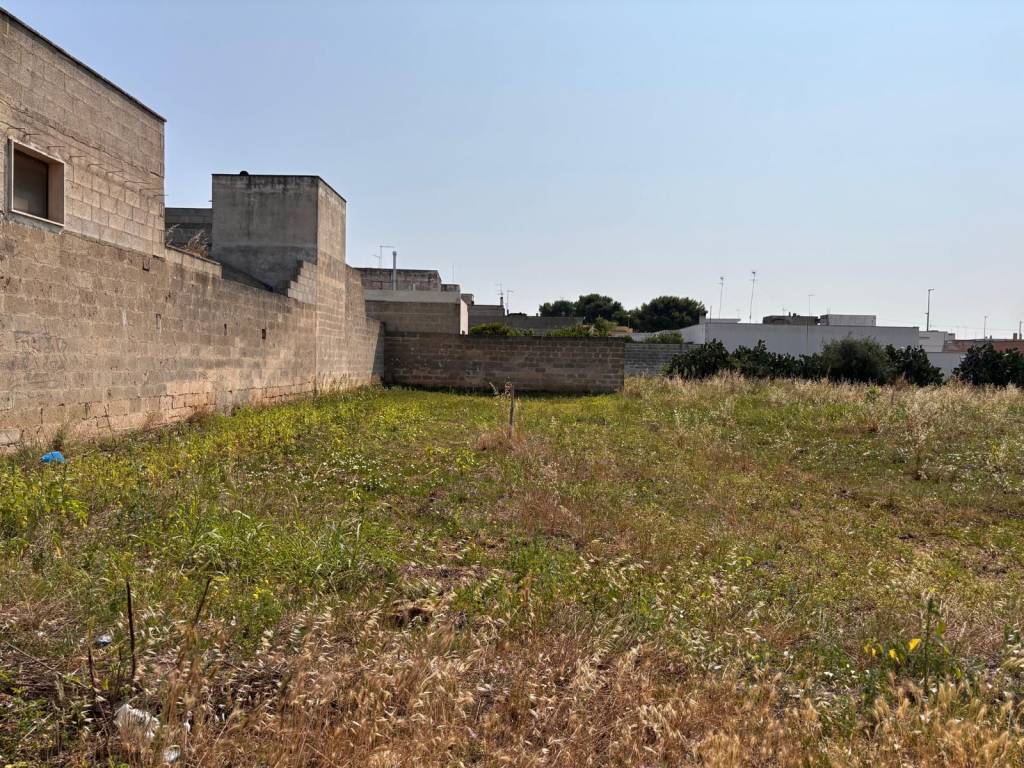 immagine annuncio 2 di 4