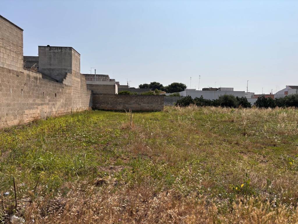 immagine annuncio 3 di 4