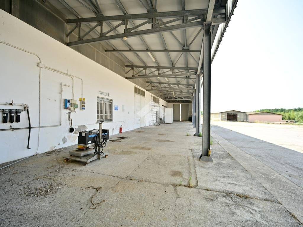 immagine annuncio 4 di 5