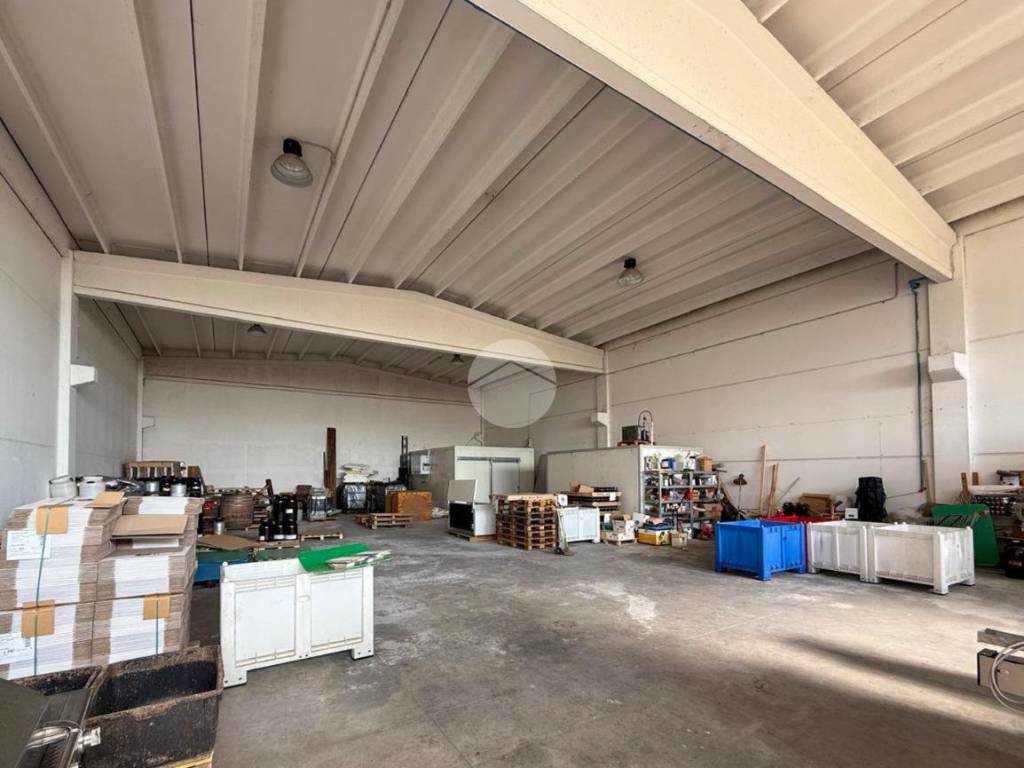 immagine annuncio 3 di 5