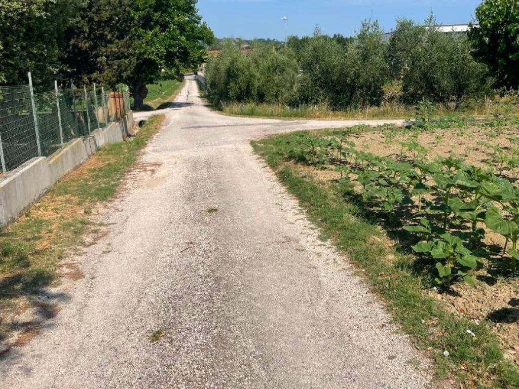 immagine annuncio 3 di 4
