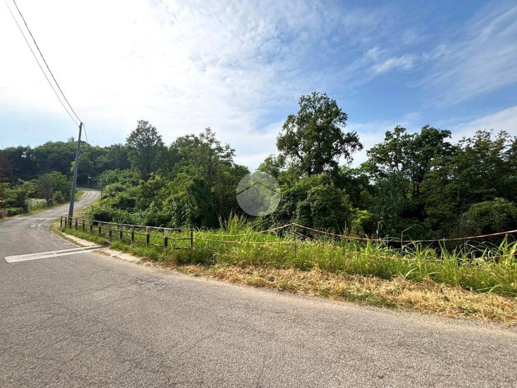 immagine annuncio 2 di 4